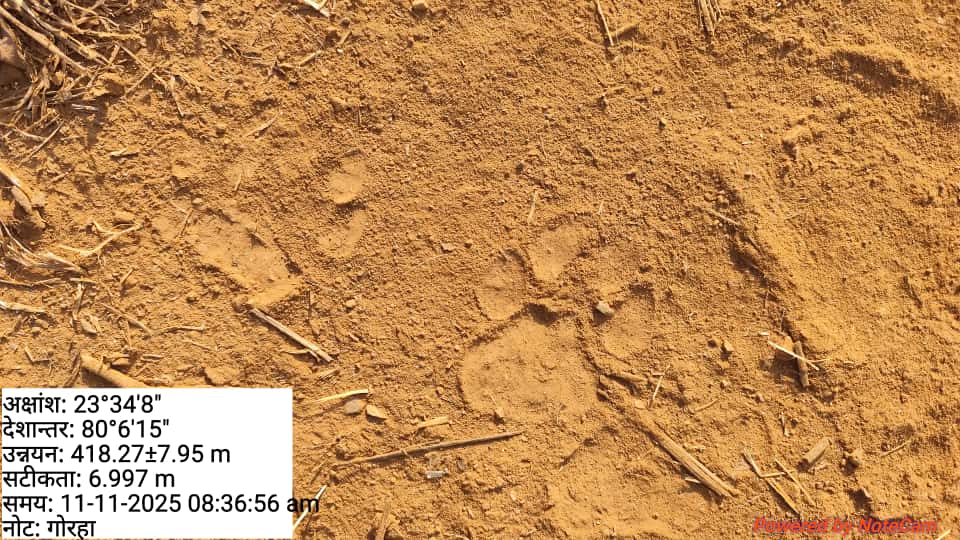 1762861169 WhatsApp Image 2025 11 11 at 4.41.19 PM (1)